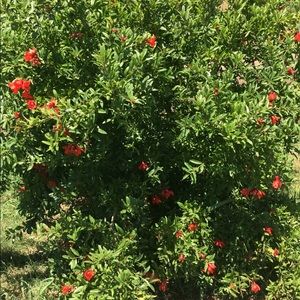 Meet your Posher, Marlene